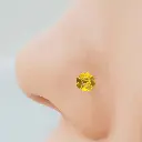 Gold Nose Pin 01